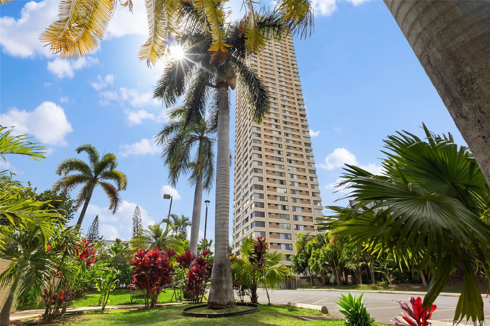 1060 Kamehameha Highway 806B