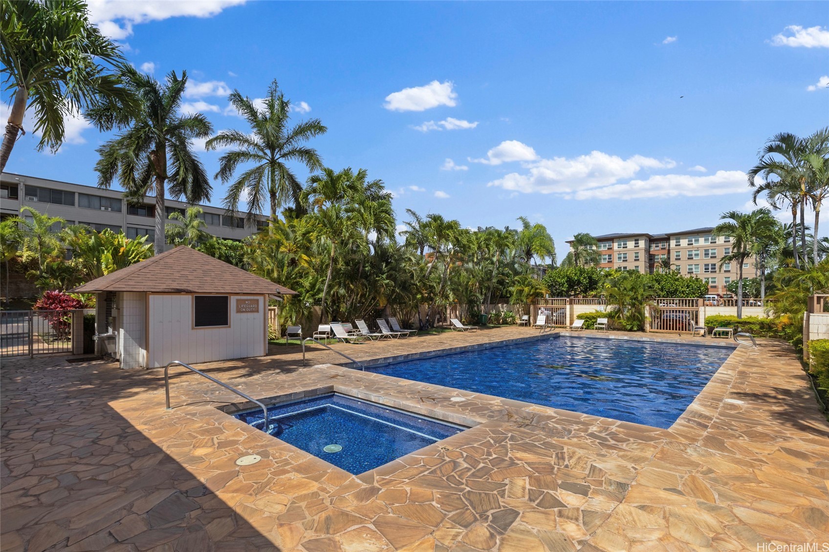 1060 Kamehameha Highway 806B