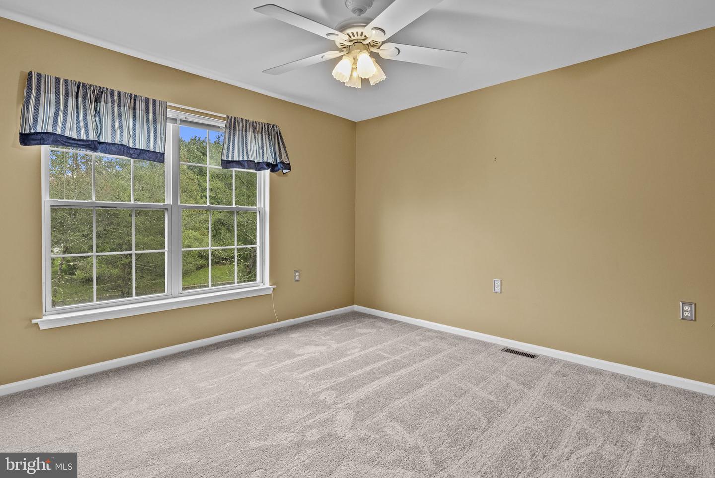 1 Coneflower Ln