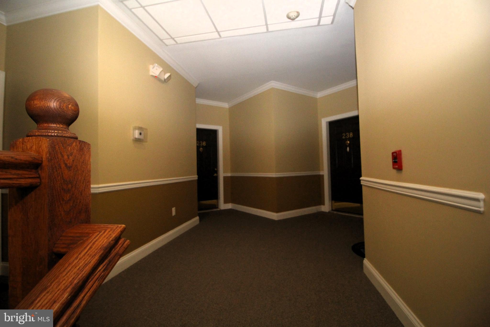 238 Timberlake Dr