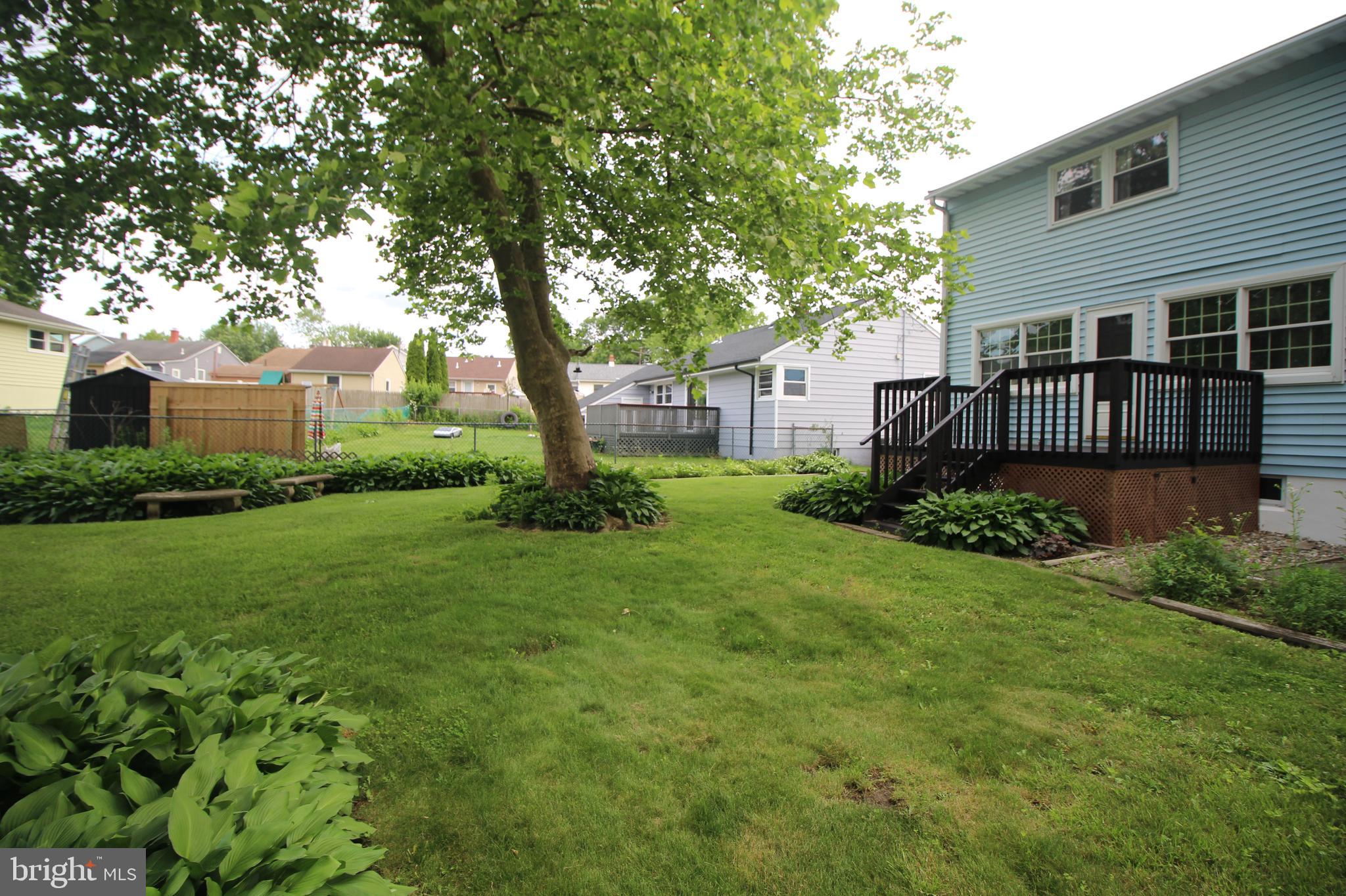 65 Albert Ave