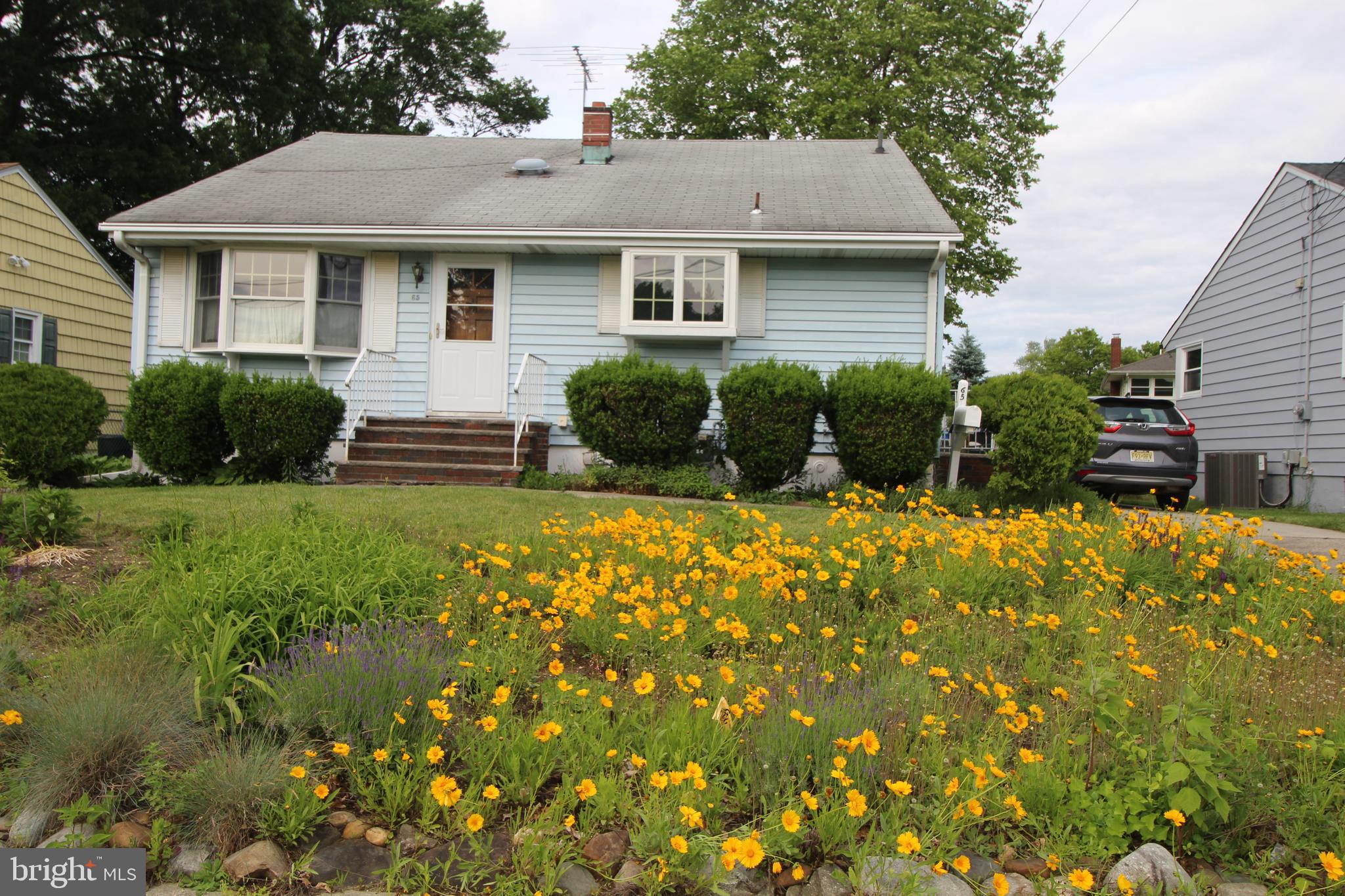 65 Albert Ave