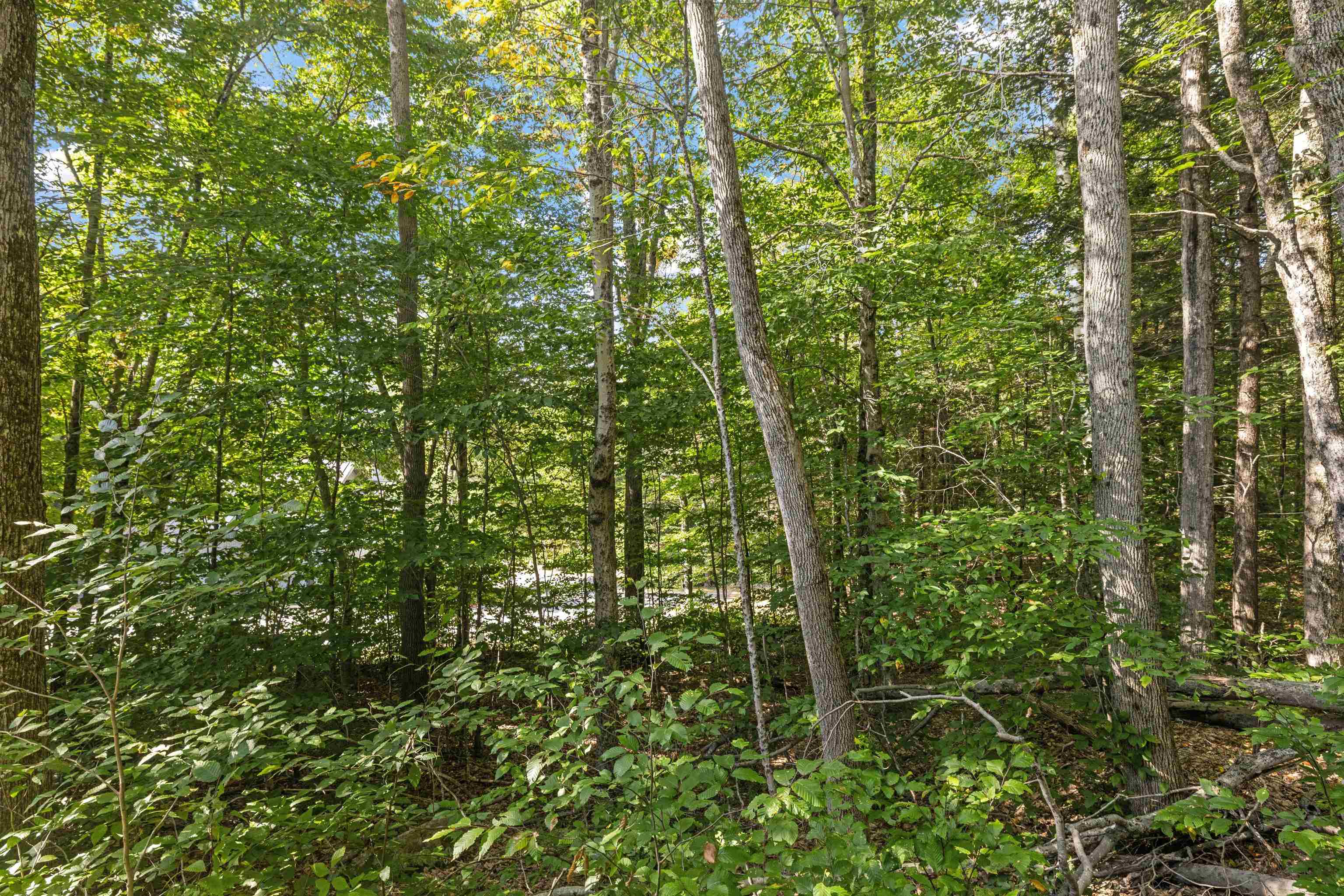 119 Clearbrook Road Unit: 1