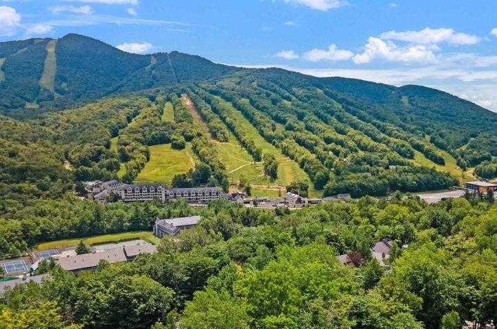 24 Hardwood Ridge Road Unit: 1