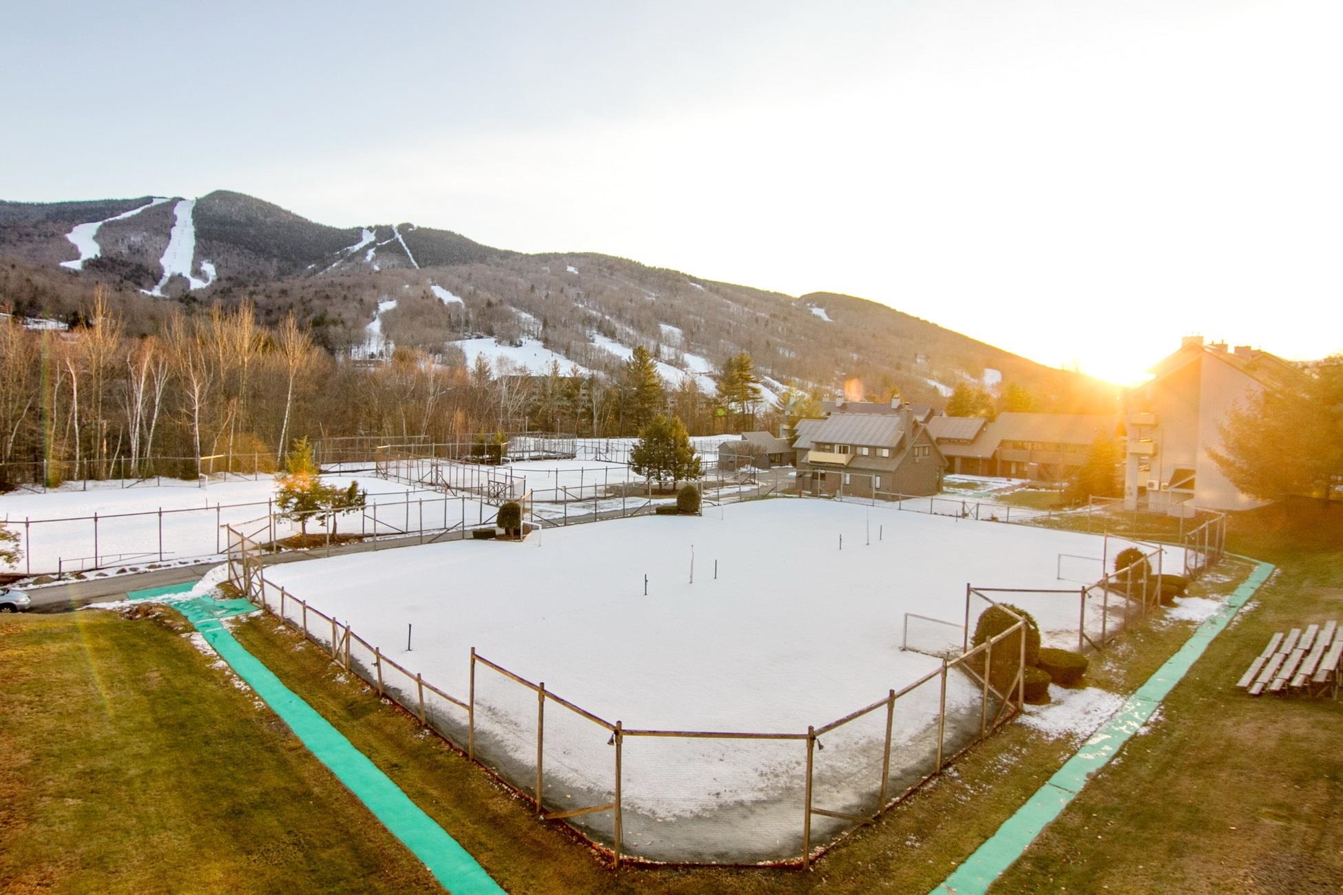 81 Clearbrook Road Unit: 2