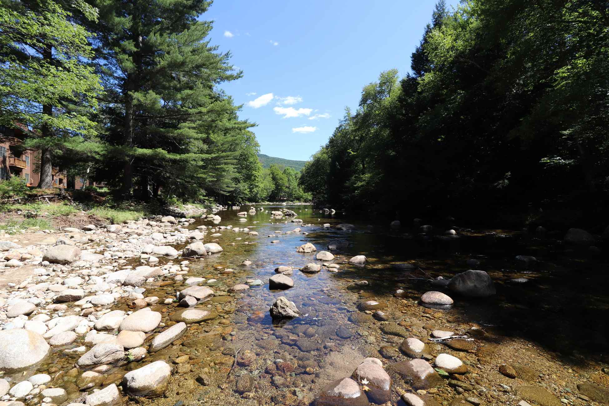 156 Deer Park Drive Unit: 128T D