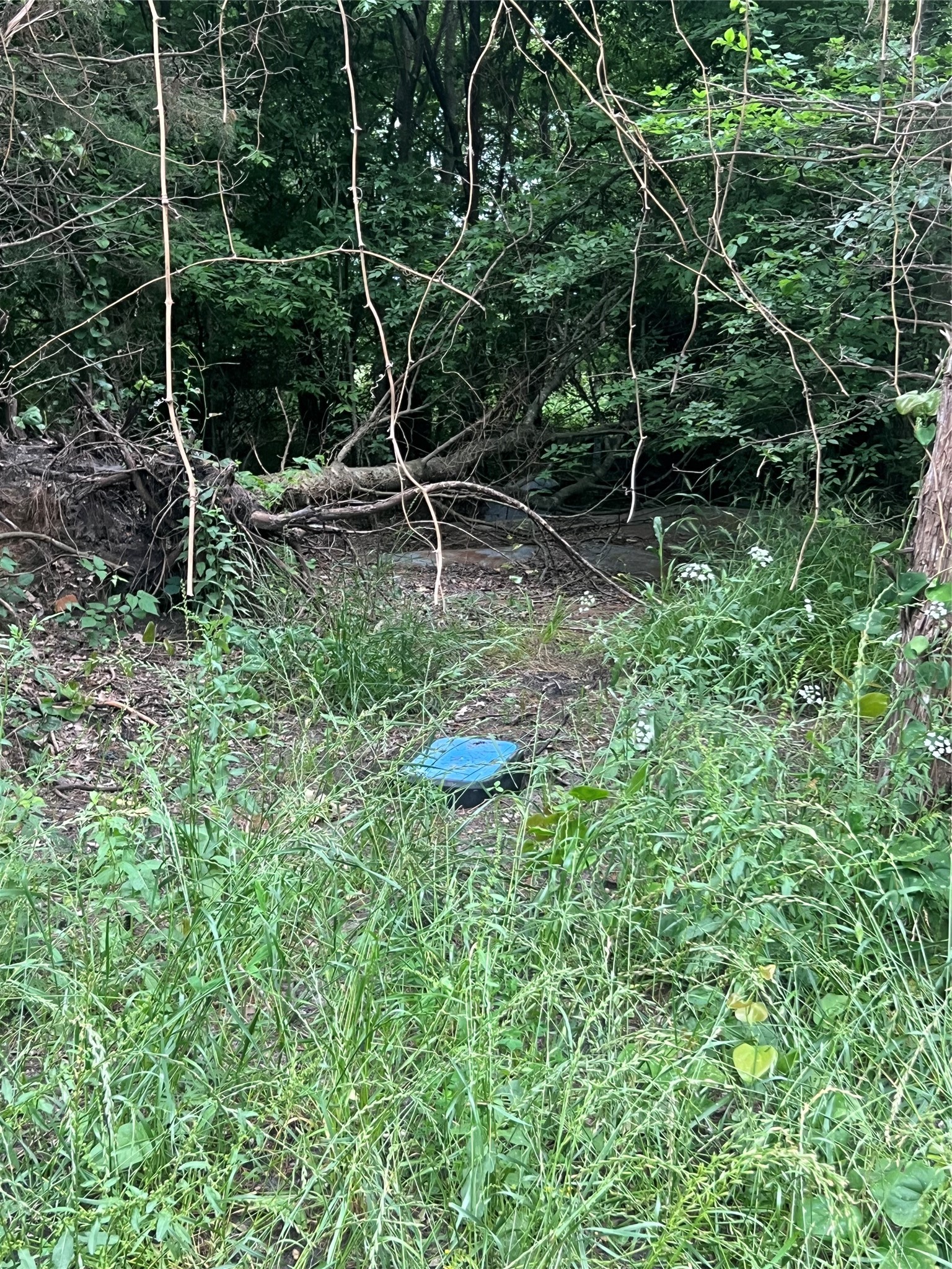 Tract 6 County Rd 14720