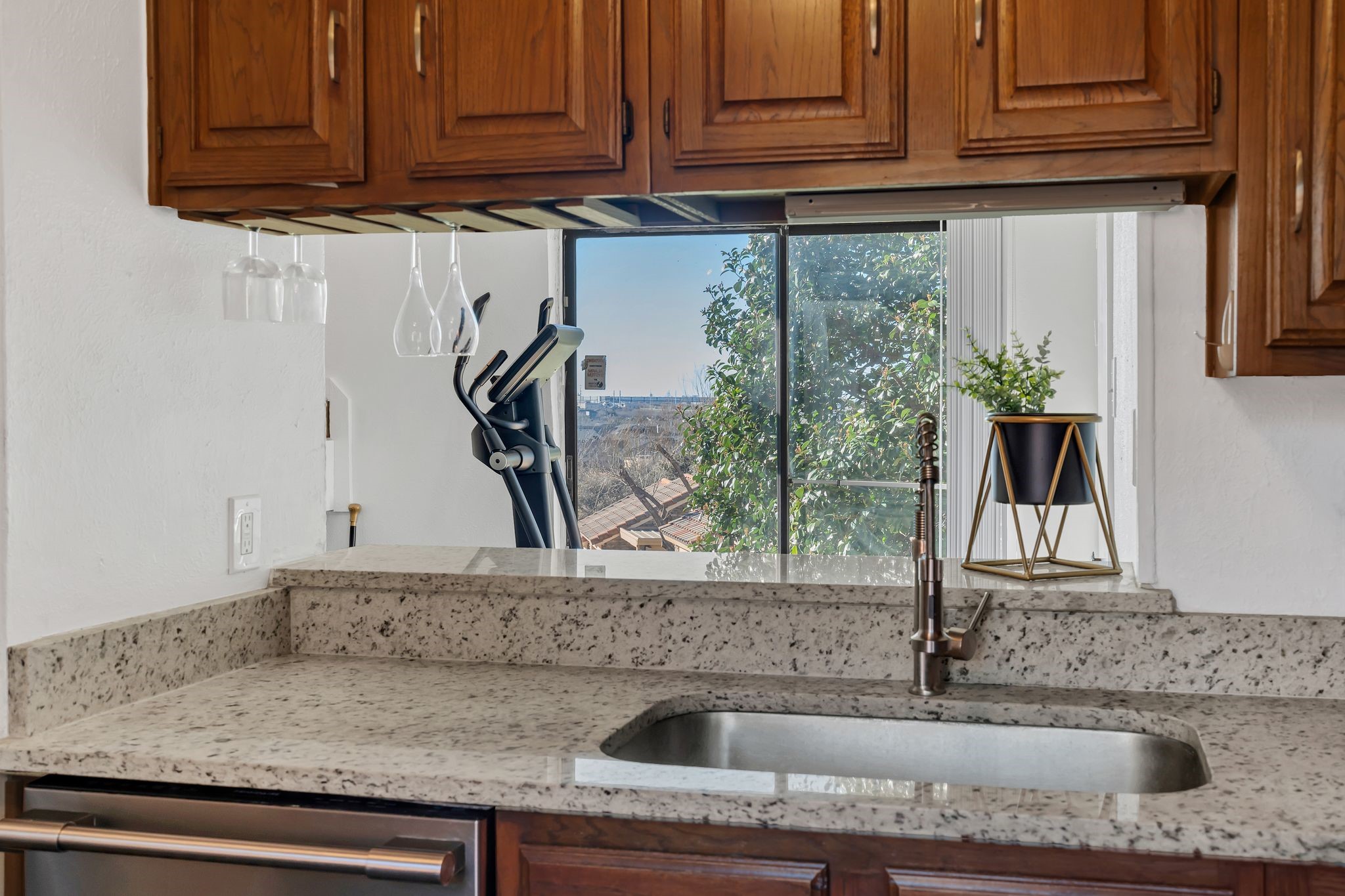 2503 Tierra 1