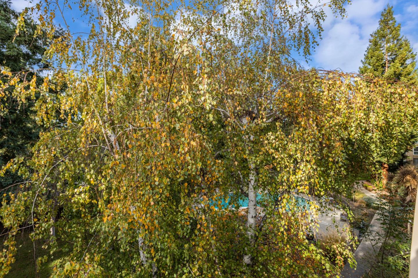 1033 Crestview DR 309