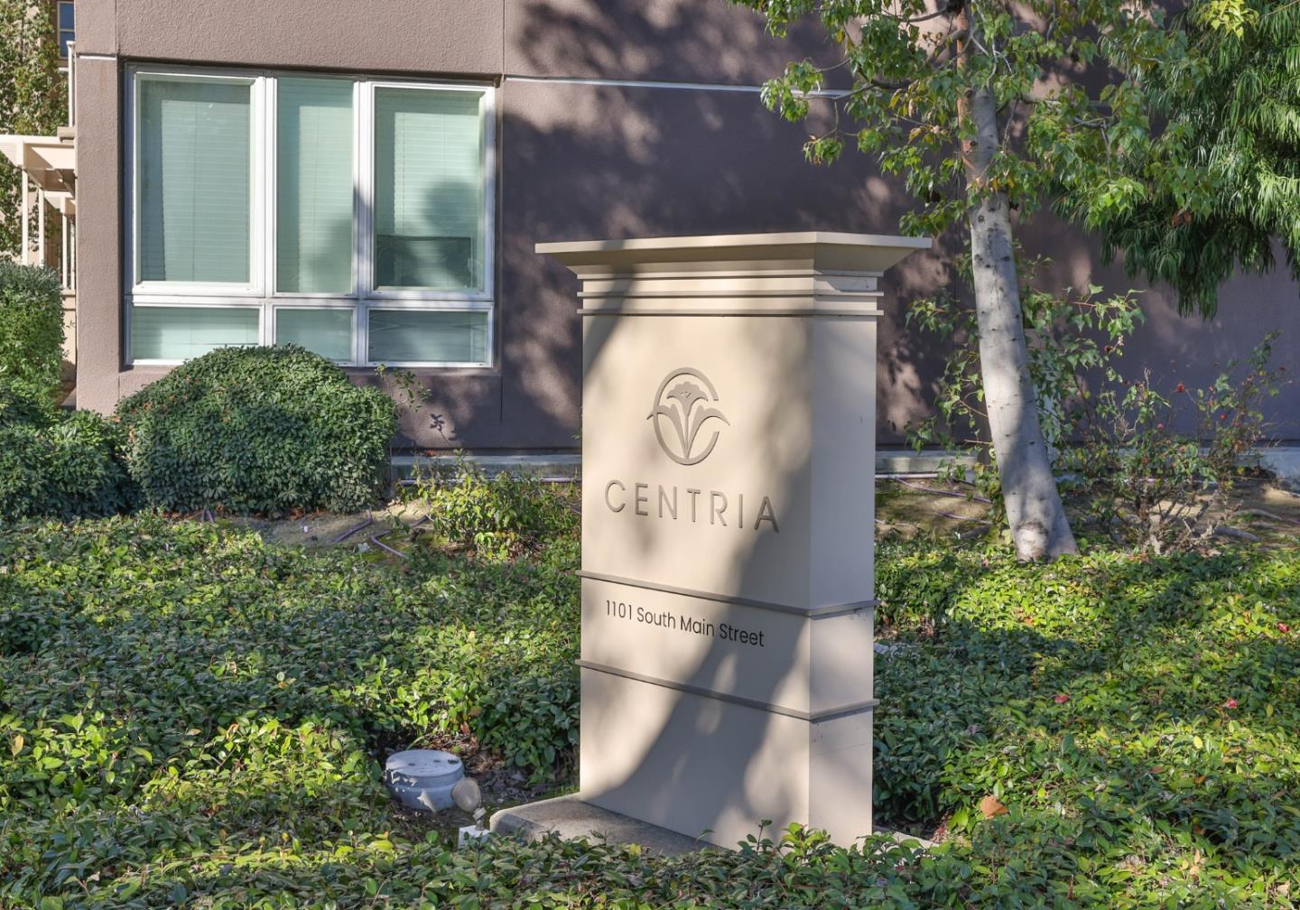 1101 S Main ST 118
