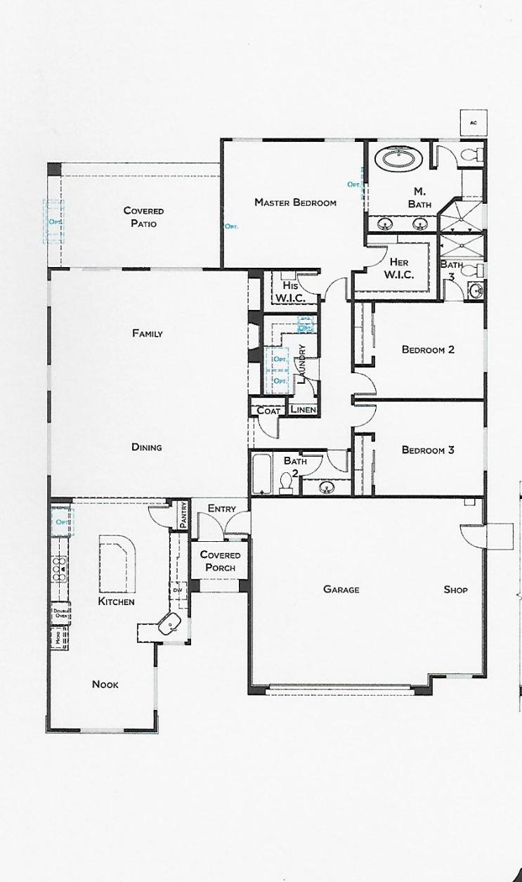 3120 Shasta Daisy Circle