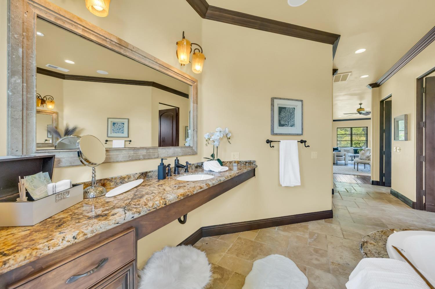 3360 Sierra Springs Court