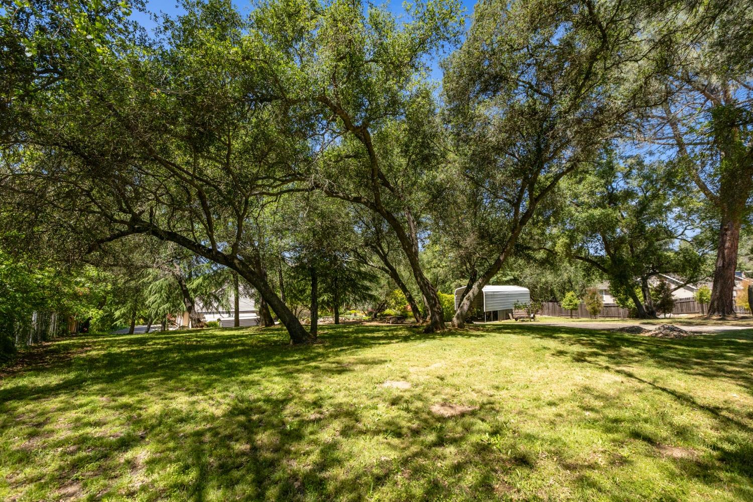 7085 Turner Drive