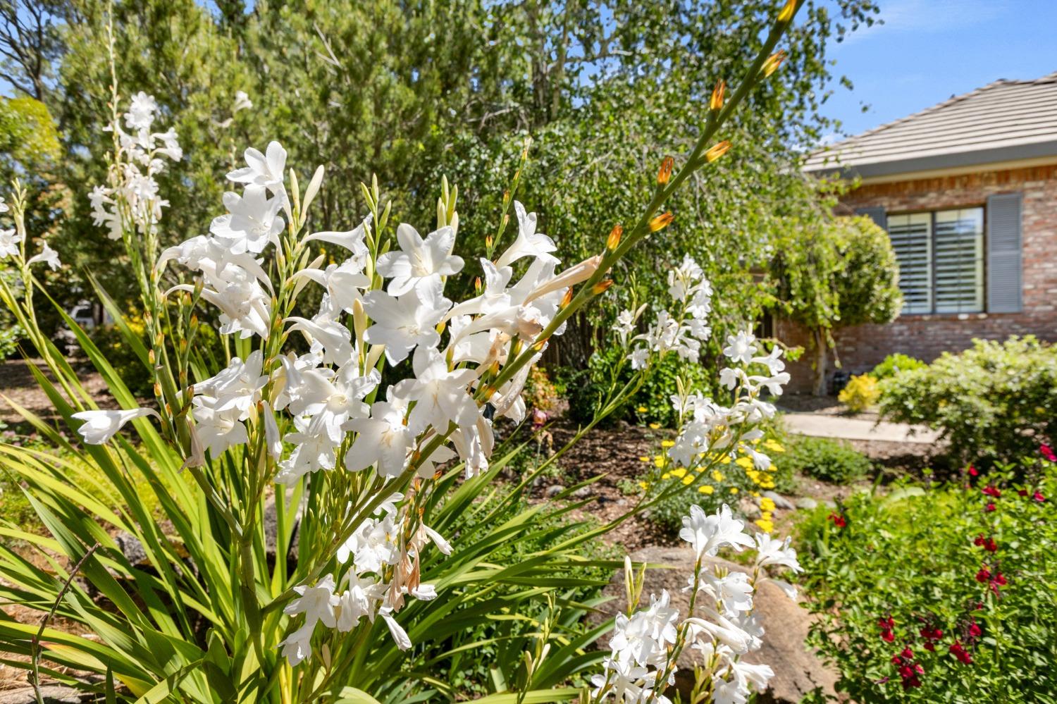 7085 Turner Drive