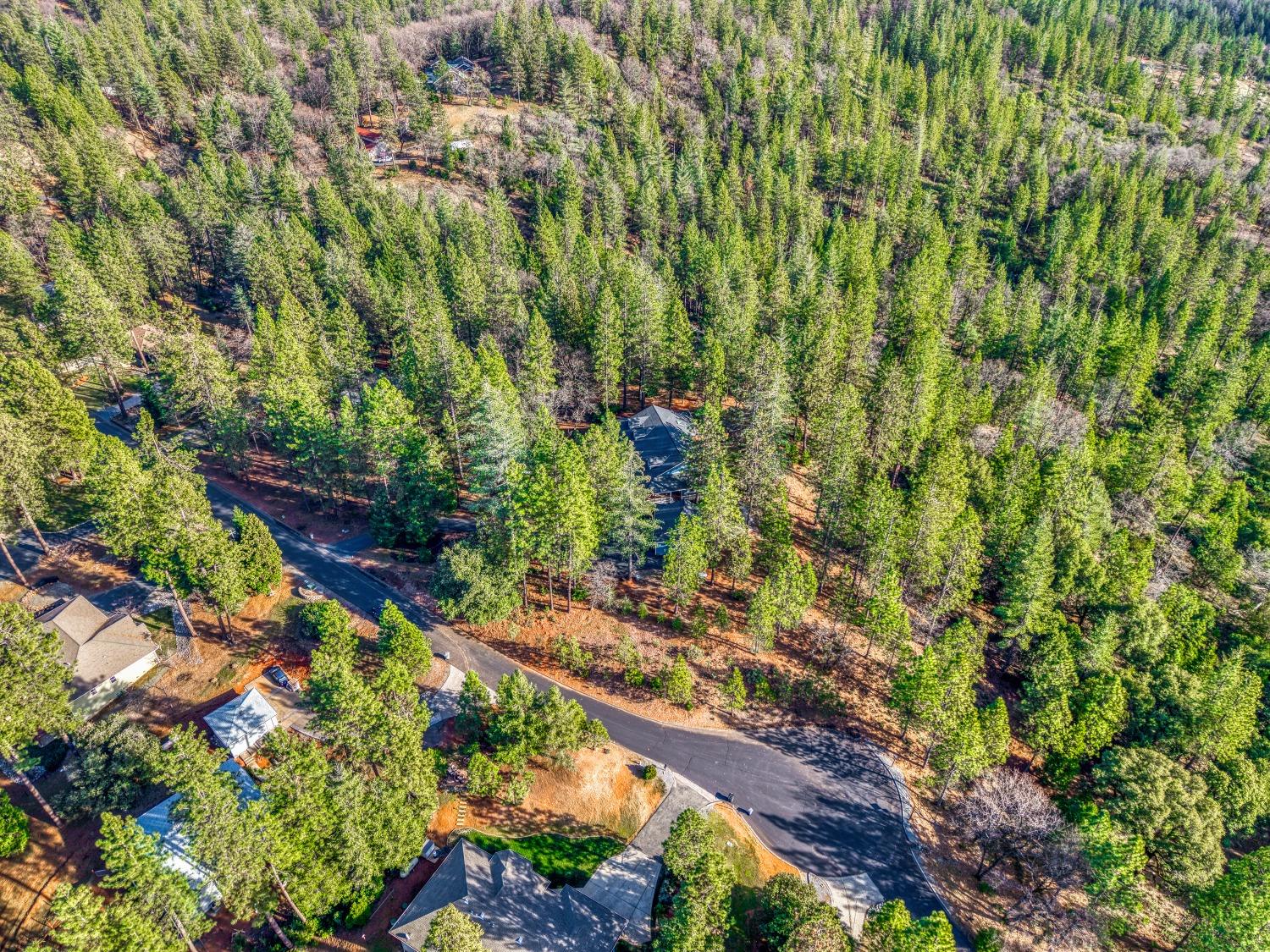22045 Farrier Court