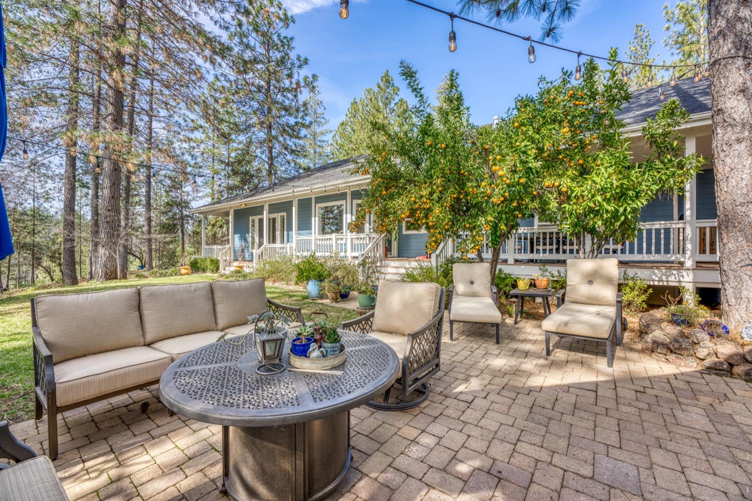 22045 Farrier Court