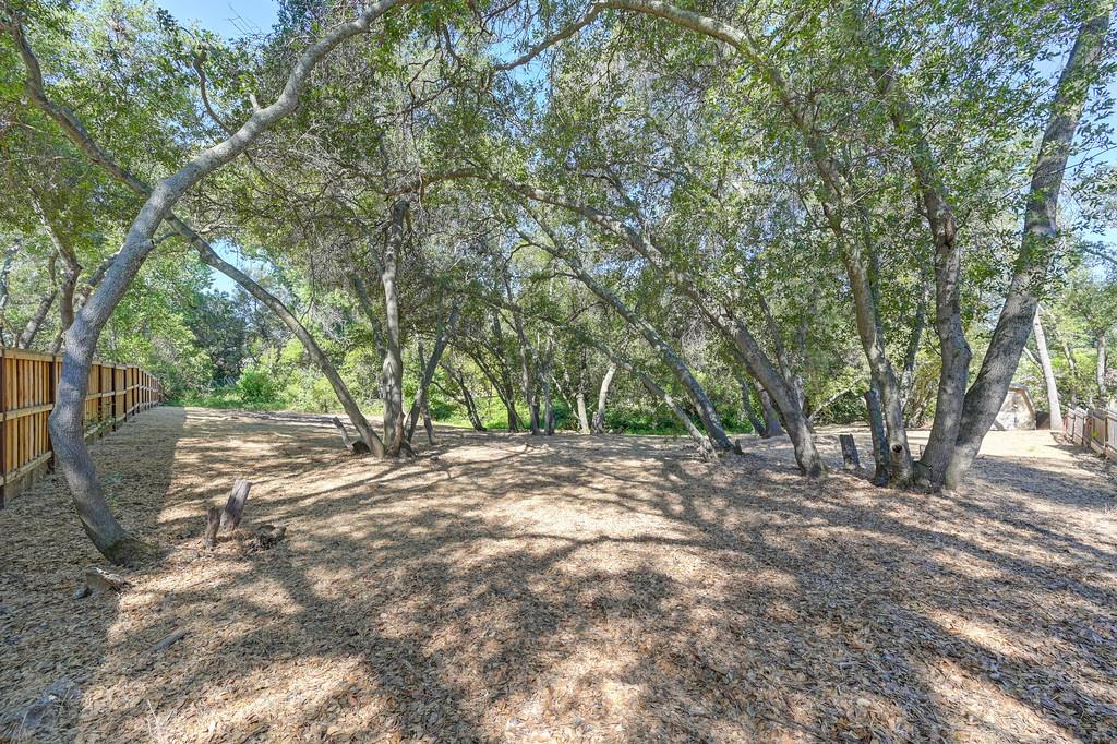 6222 Lou Court