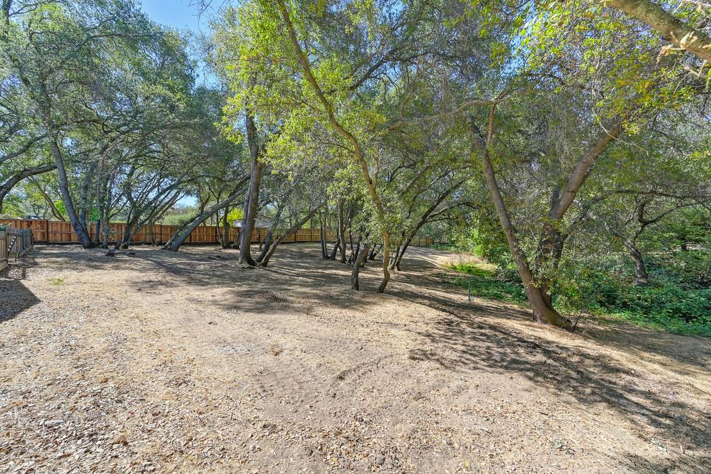 6222 Lou Court