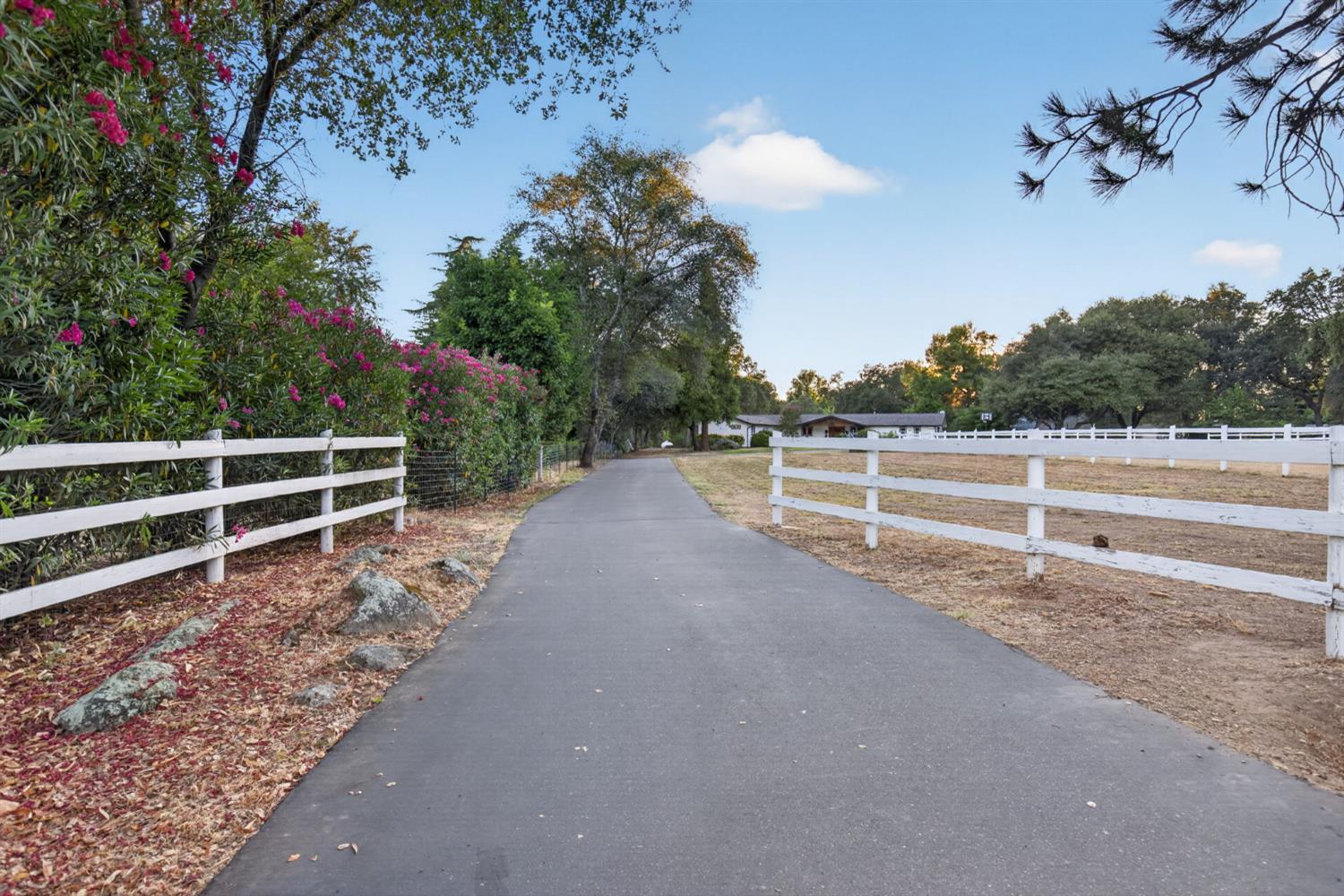 3252 Old Orchard Lane