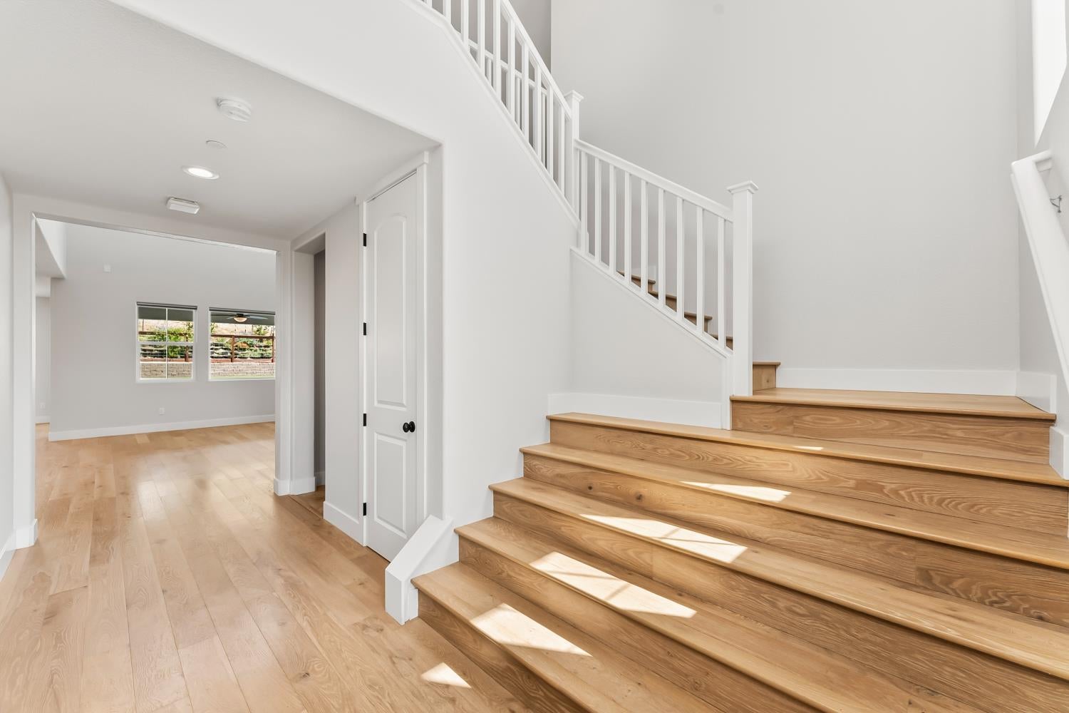 3166 Sofia Drive