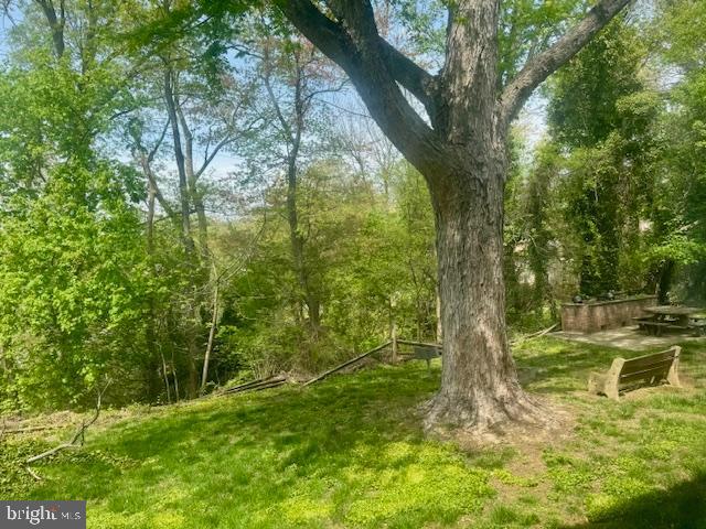 201-1/2 Philadelphia Pike #108