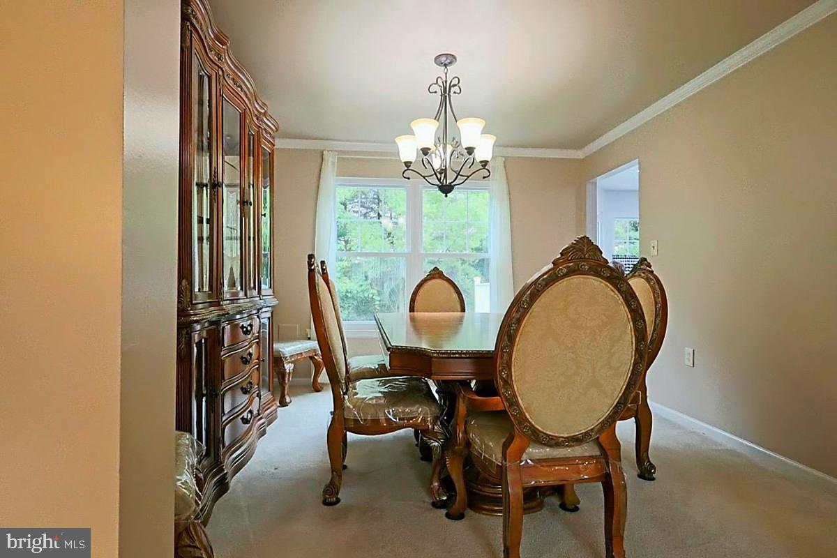 504 Lantern Ln