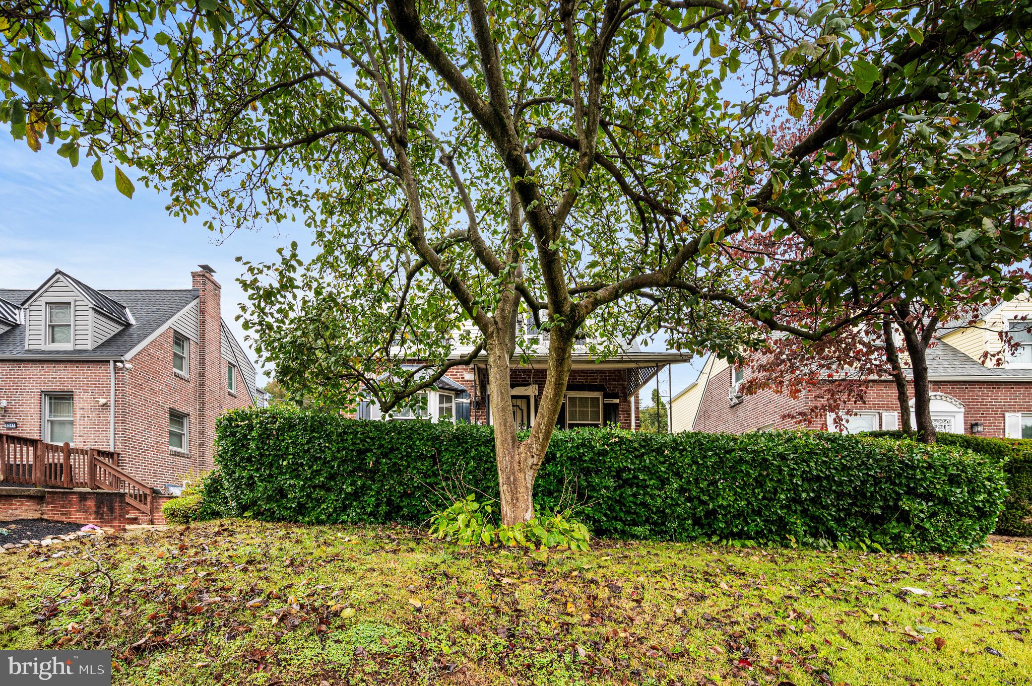 8239 MICHENER AVENUE