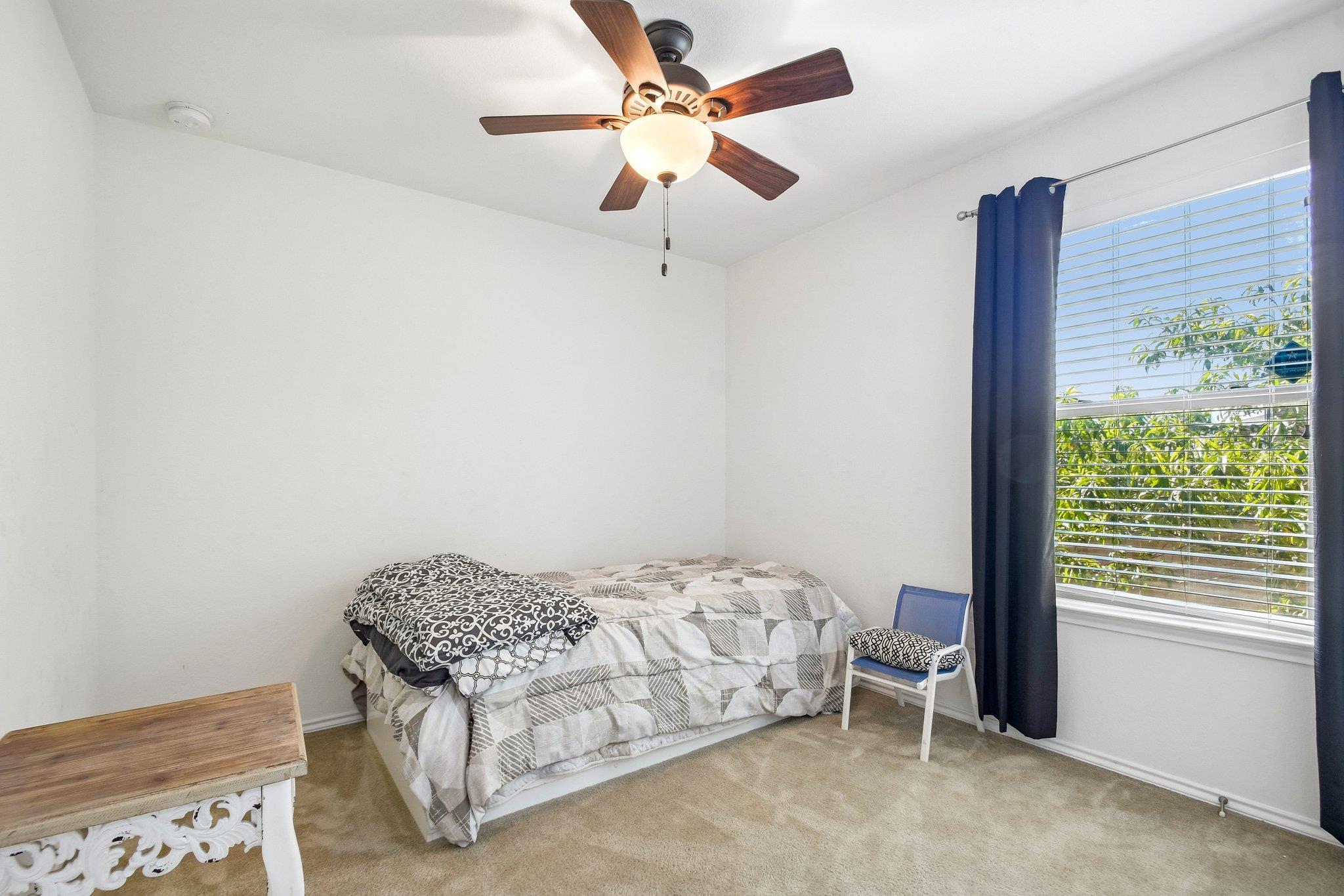 260 Cushman DR