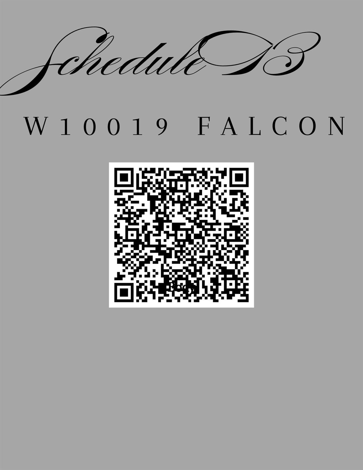 W10019 Falcon/Broken HLS