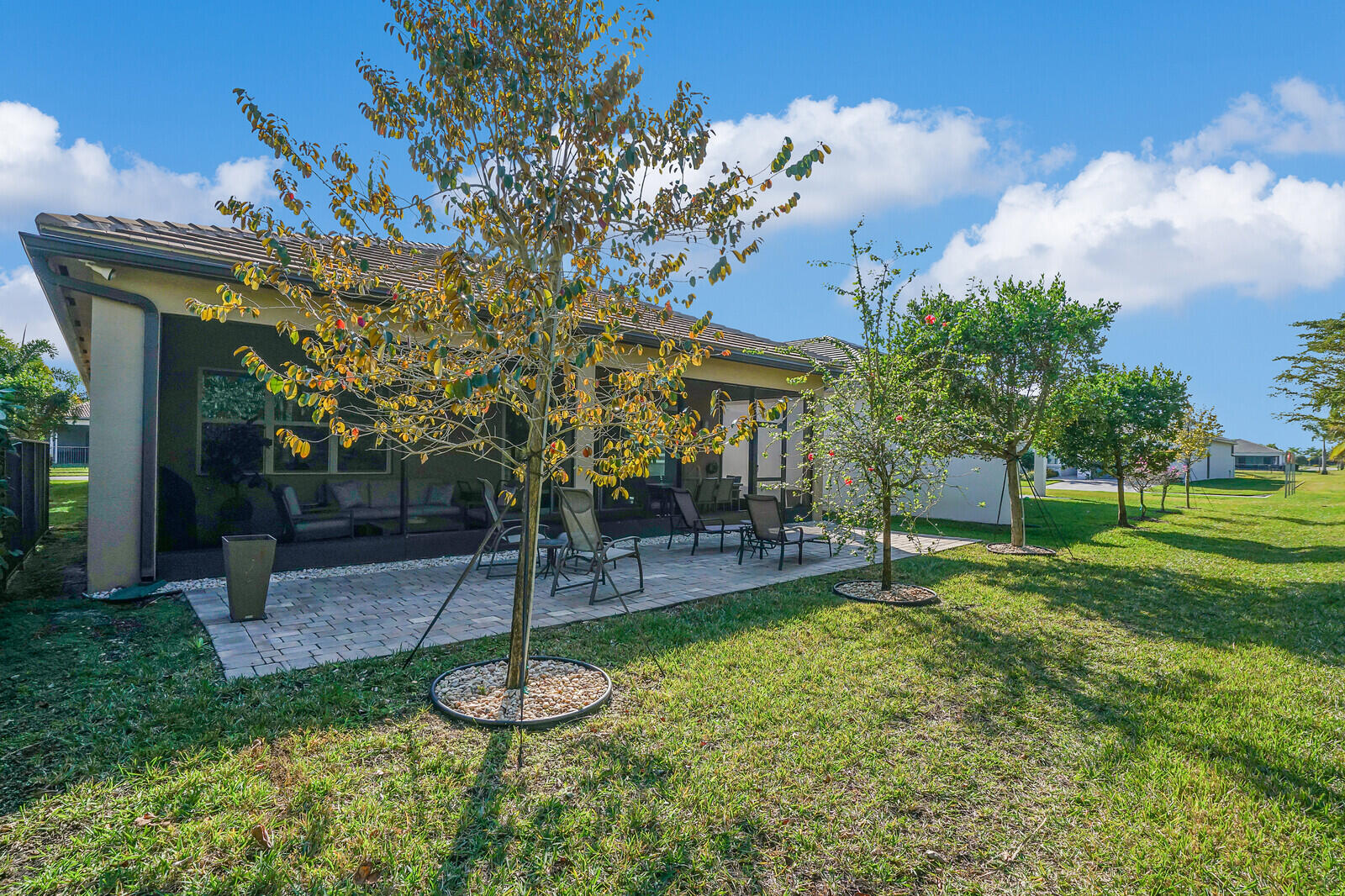 9571 Portugese Pine Grove