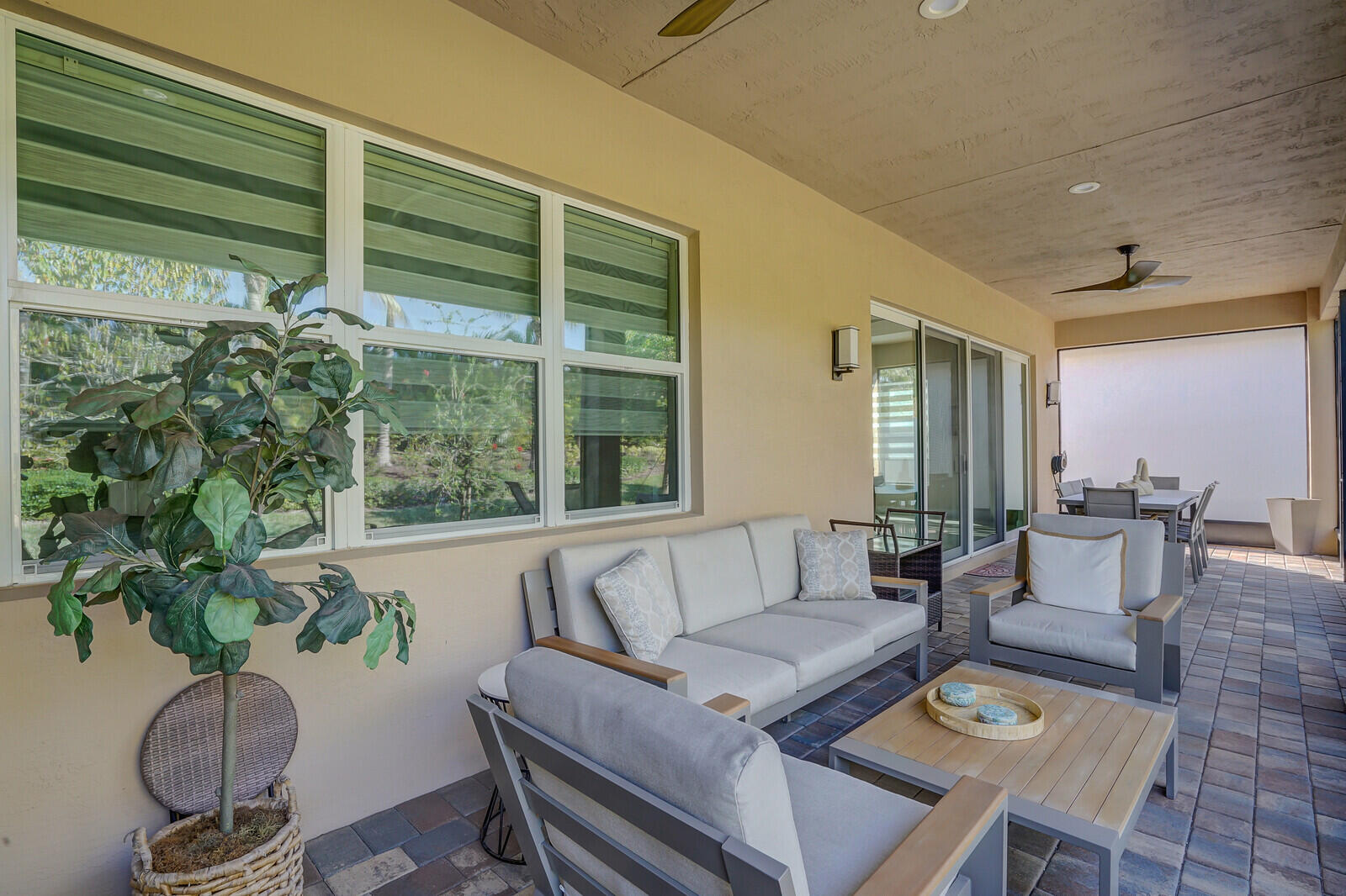 9571 Portugese Pine Grove