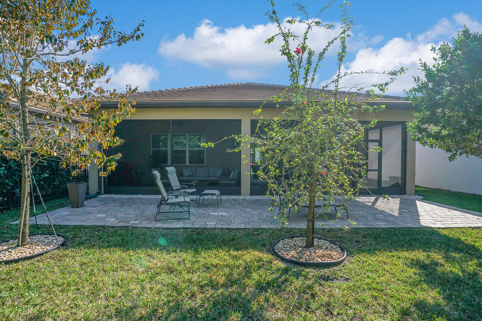 9571 Portugese Pine Grove
