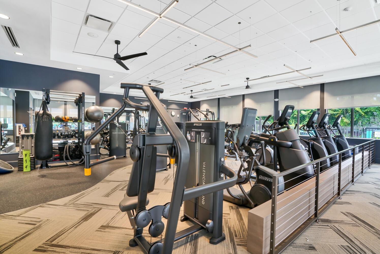 9571 Portugese Pine Grove