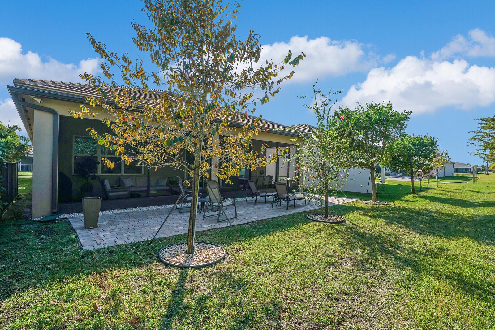 9571 Portugese Pine Grove