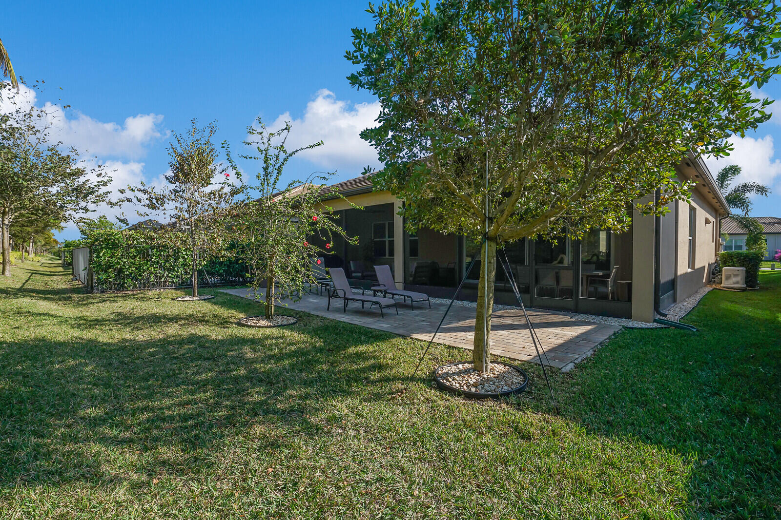 9571 Portugese Pine Grove