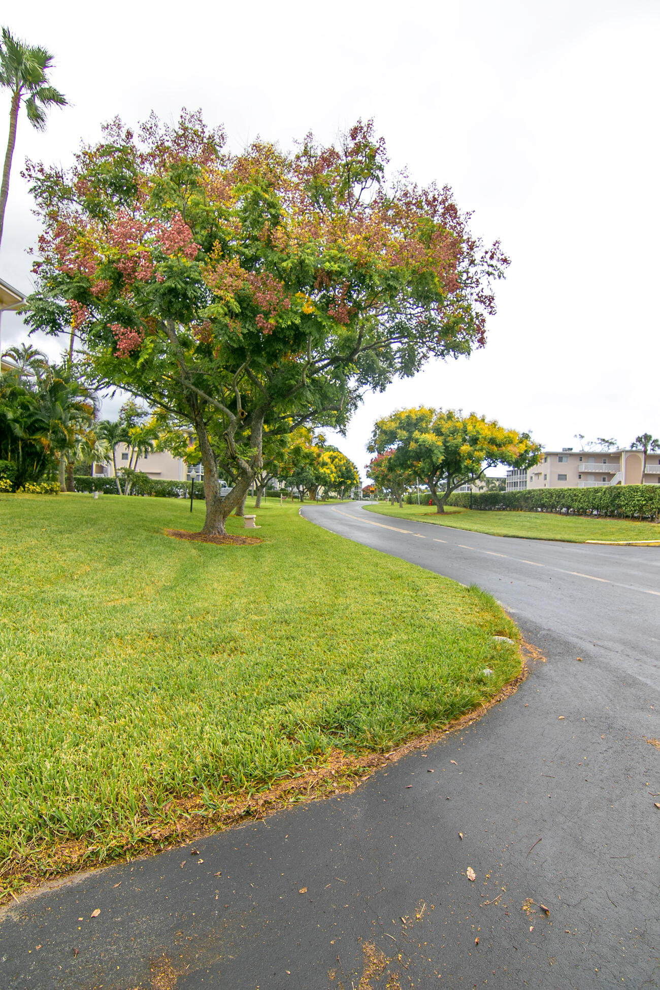 2721 Garden Drive N 312