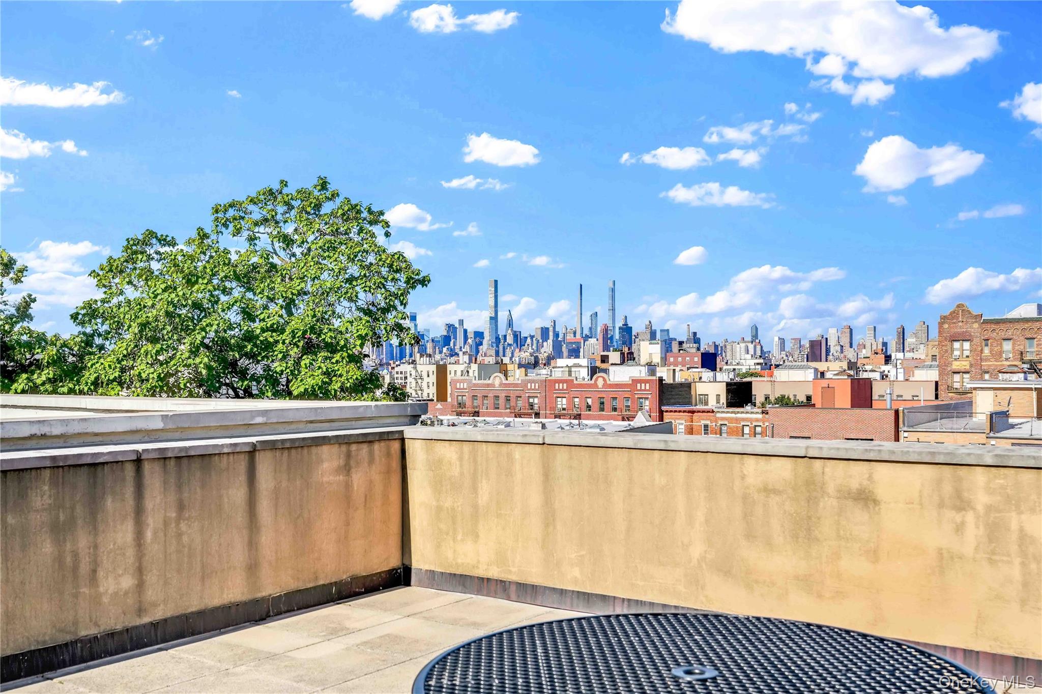 Rooftop terrace with a view of the Manhattan skyline beyond Astoria rooftops.