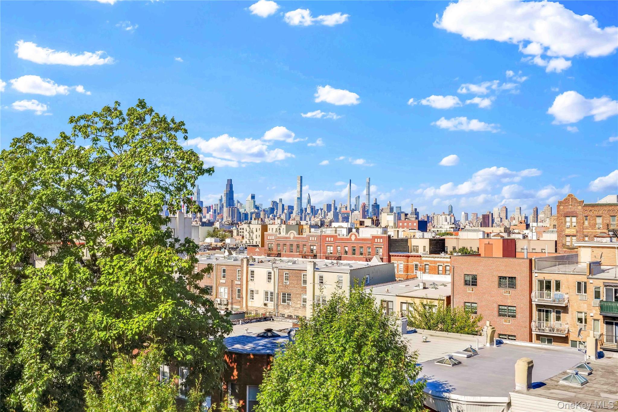 Astoria rooftop view toward the Manhattan skyline, framed by leafy trees.