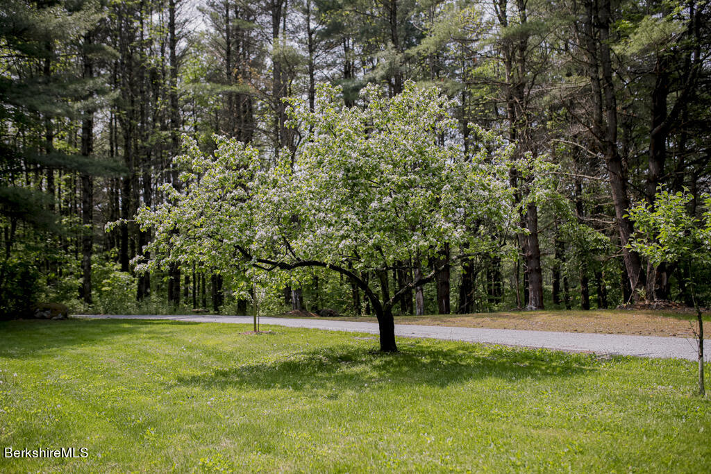 128 Great Barrington Rd