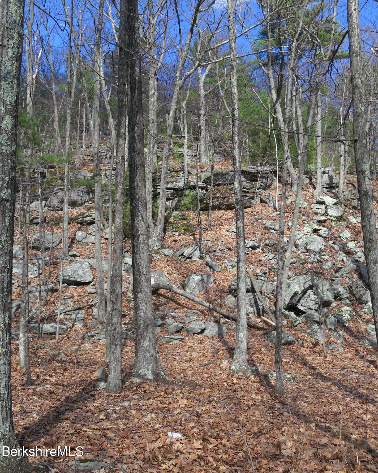 32 Sumner Mountain Rd