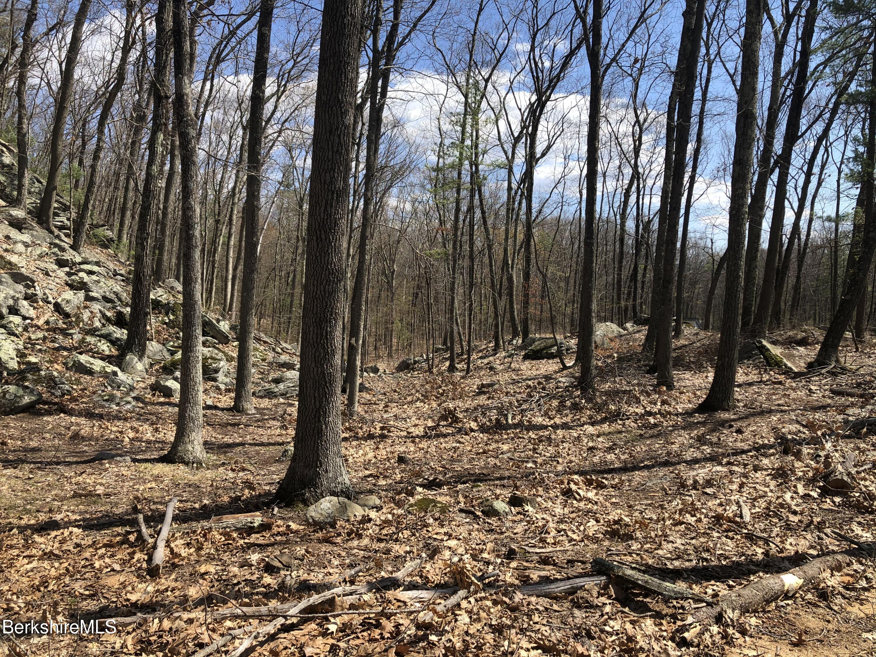 32 Sumner Mountain Rd