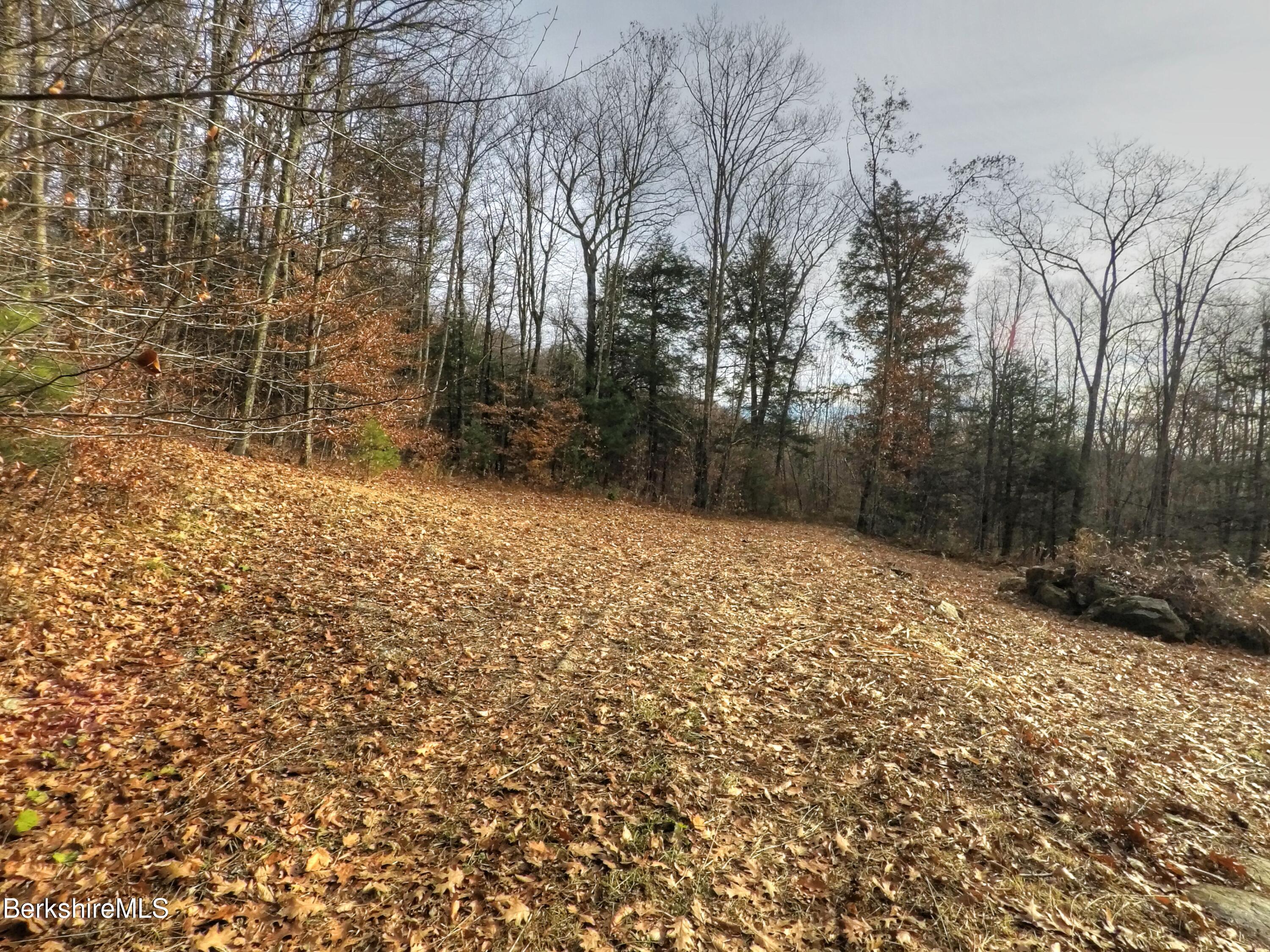Lot 1A, 0 Mt Hunger Rd