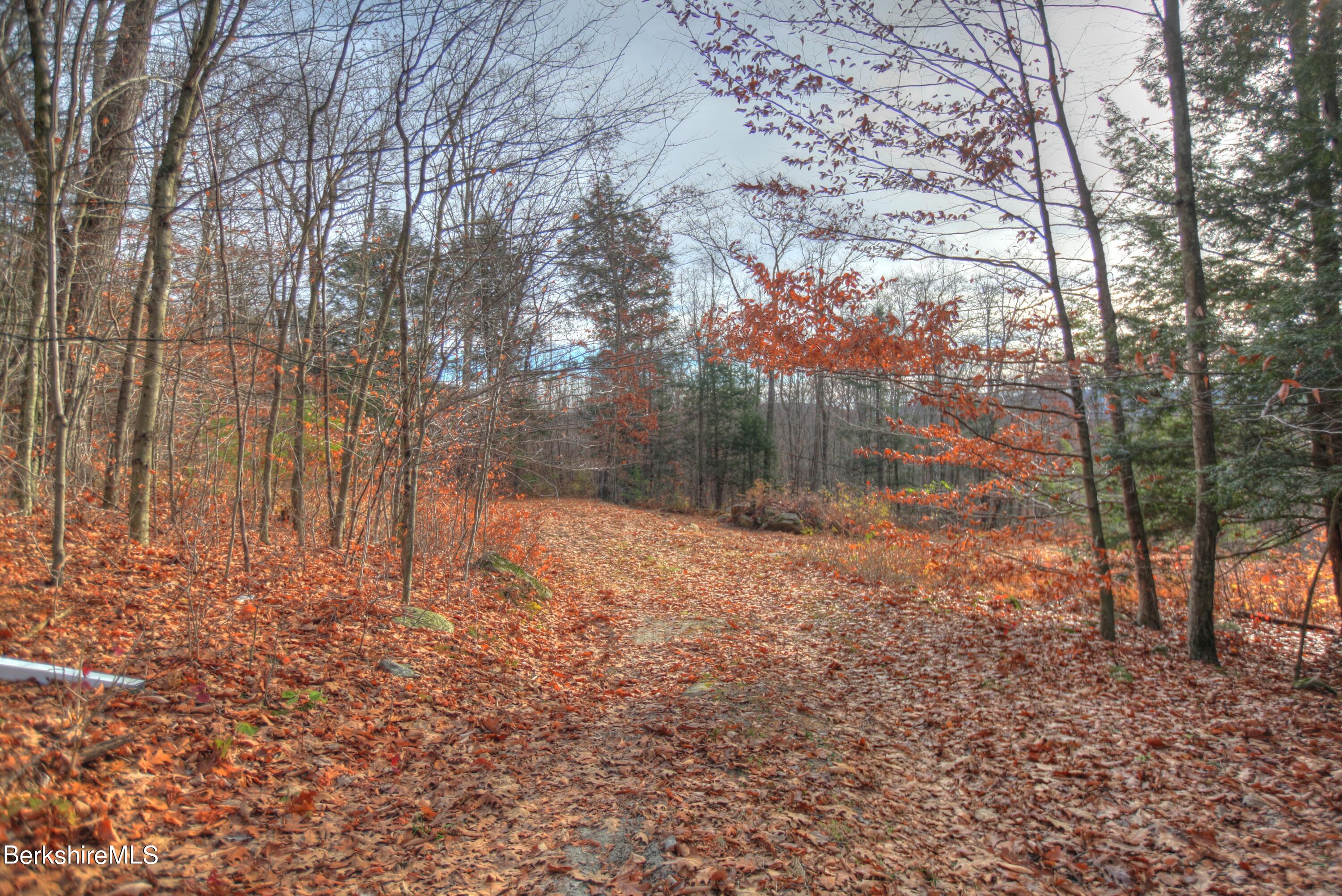 Lot 1A, 0 Mt Hunger Rd