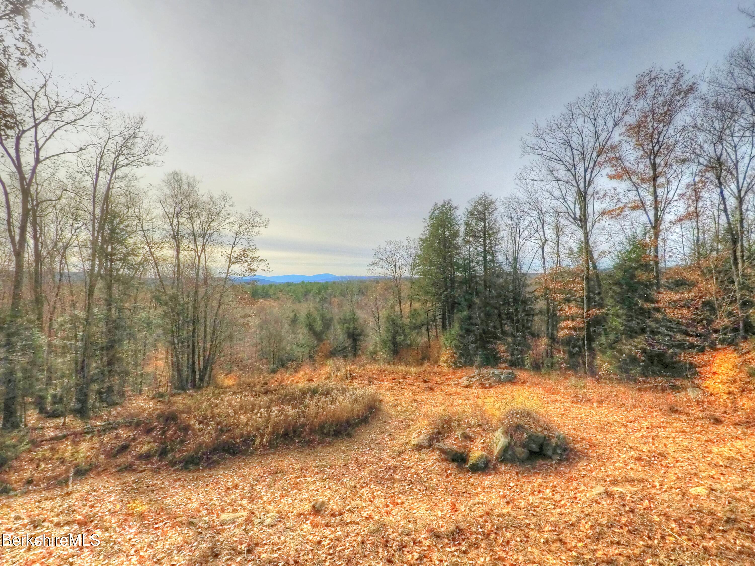 Lot 1A, 0 Mt Hunger Rd
