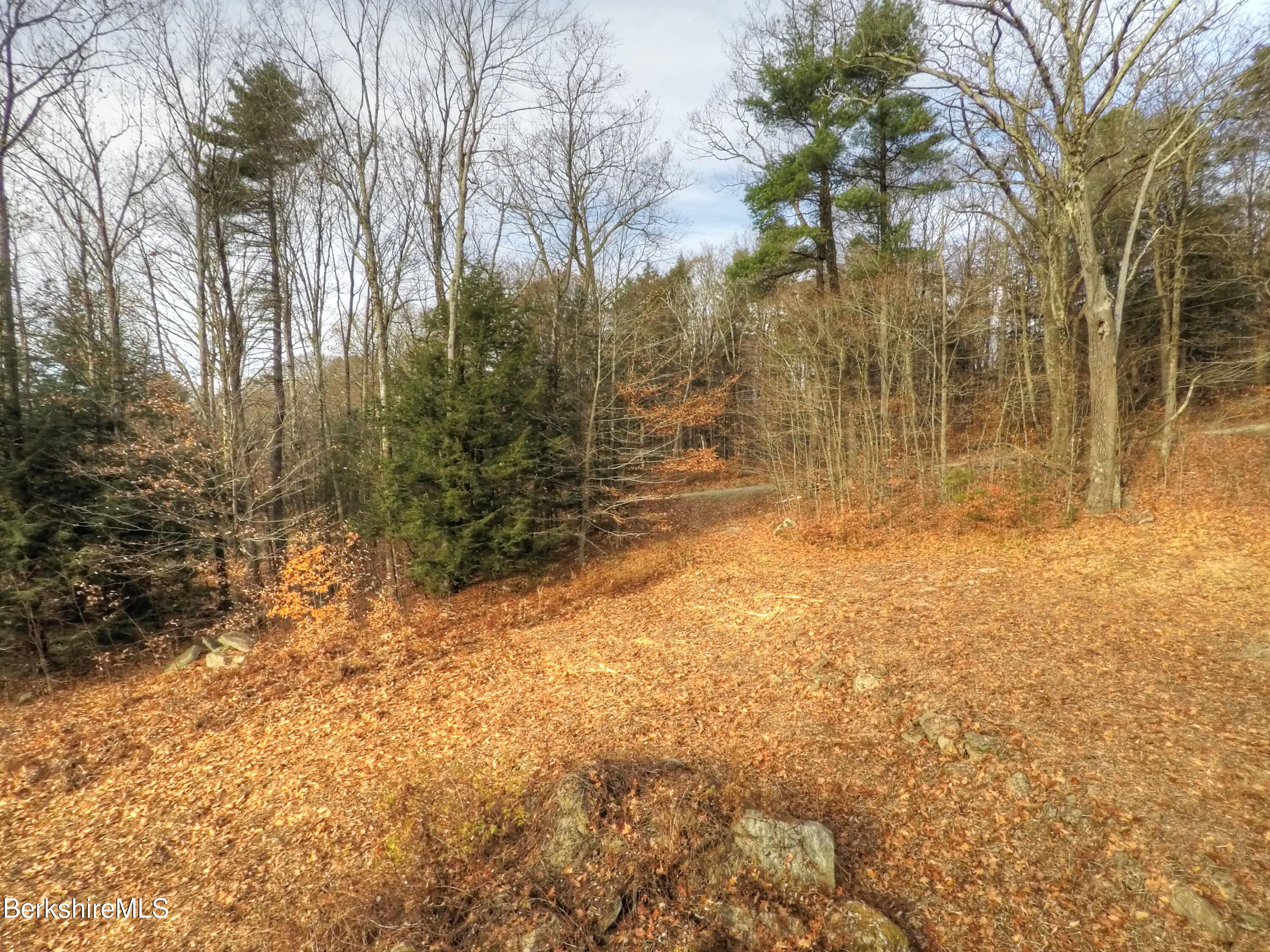 Lot 1A, 0 Mt Hunger Rd