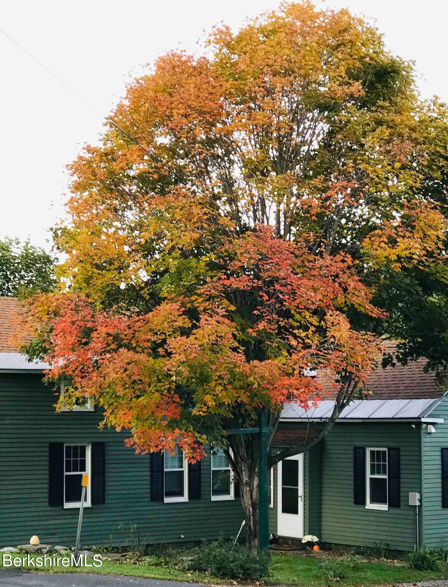 33 South Main Rd