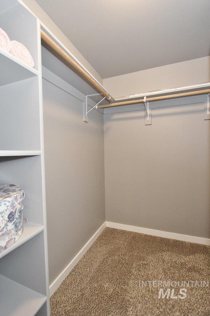 16928 N Chelford Loop