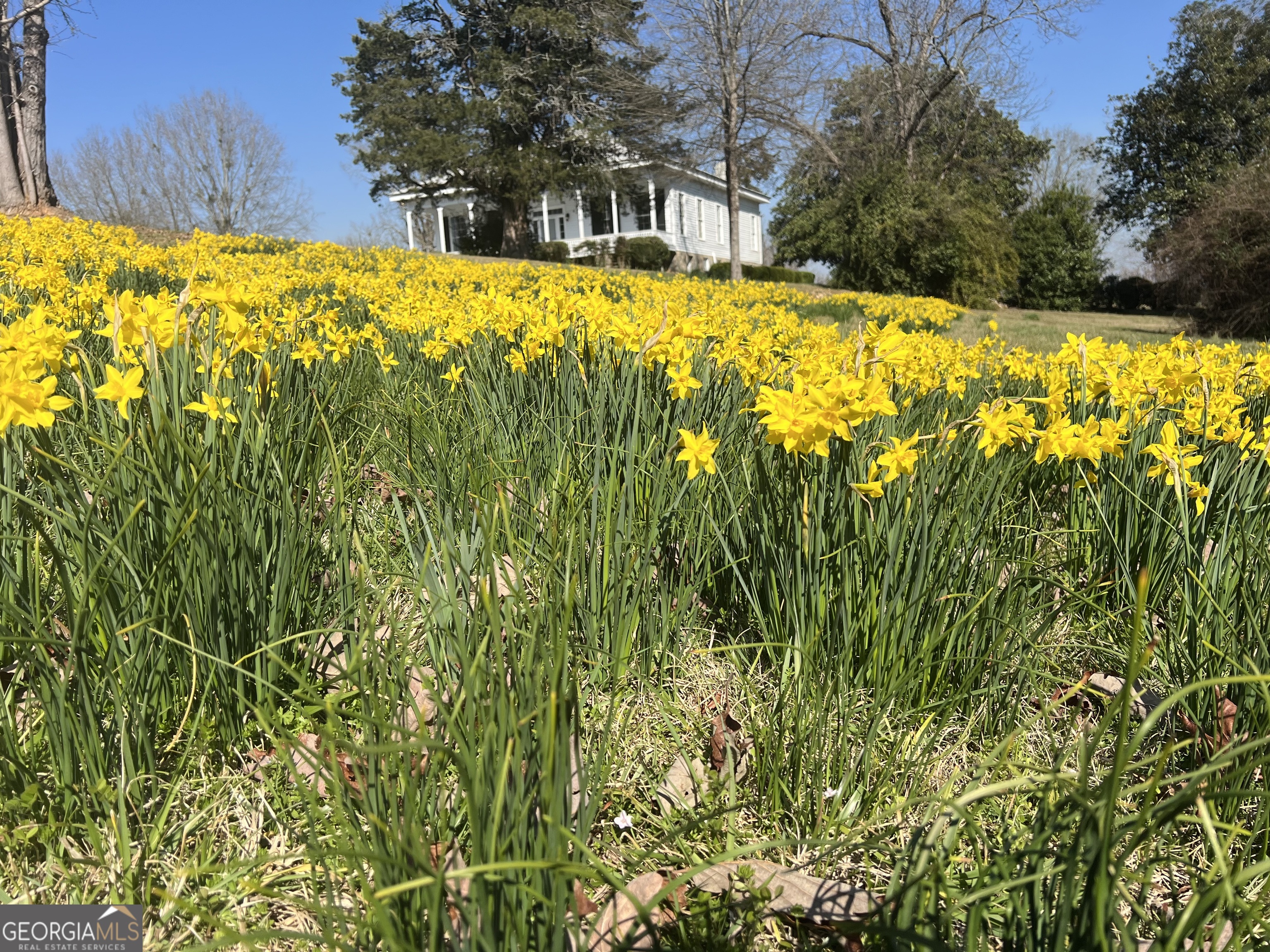 403 Stewart Farm Road