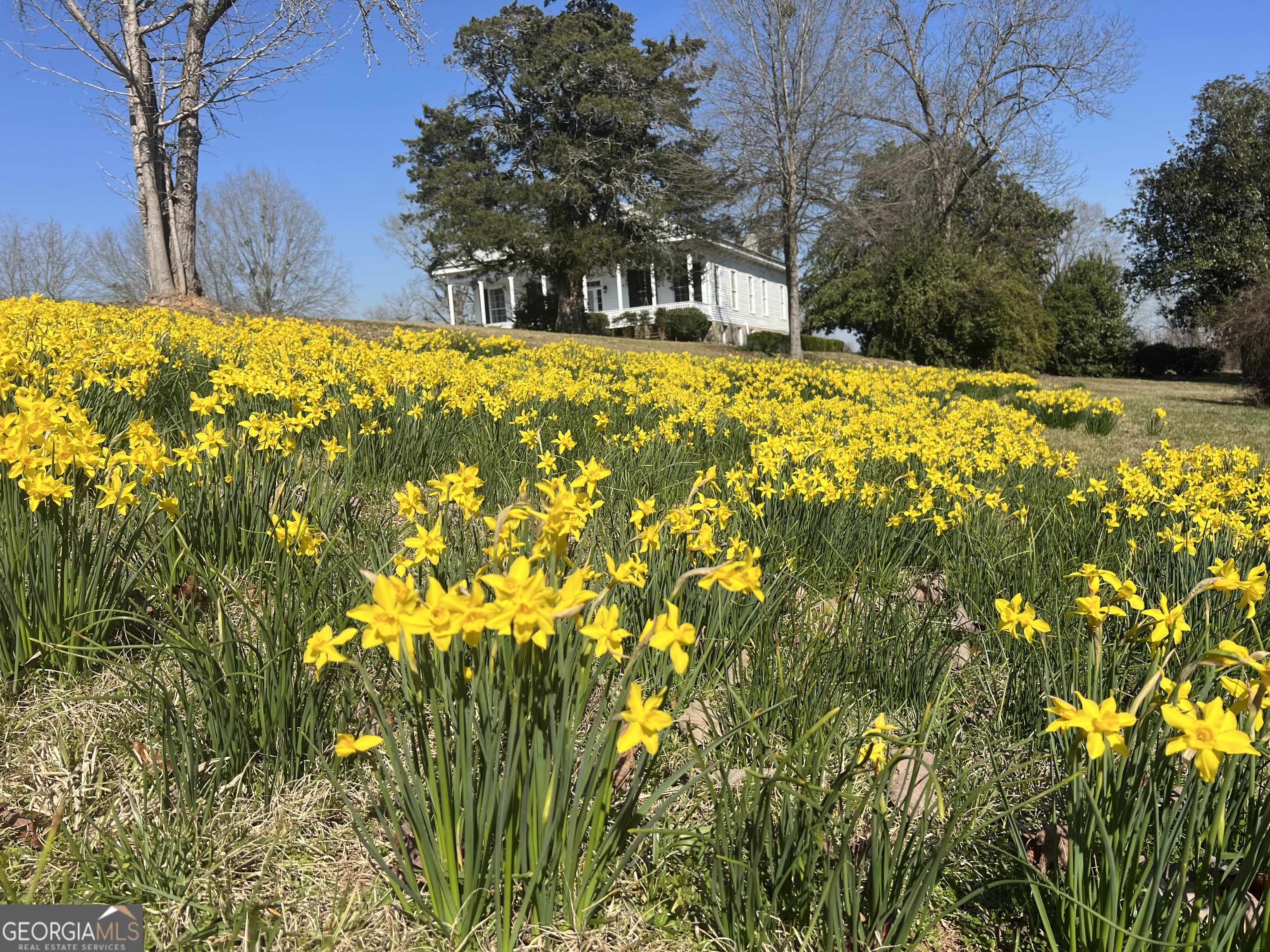 403 Stewart Farm Road