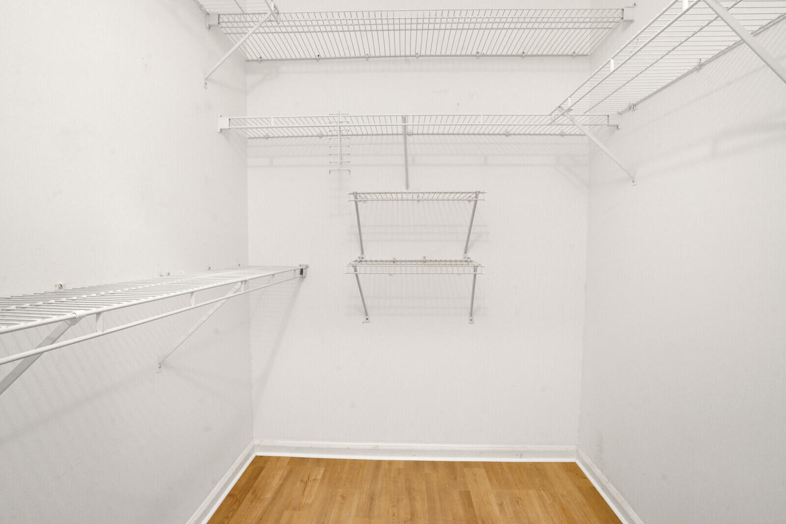 12524 Shoreline Drive 202